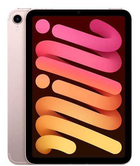 Apple iPad Mini 5G 6th gen 2021 Global TD-LTE A2568 64GB